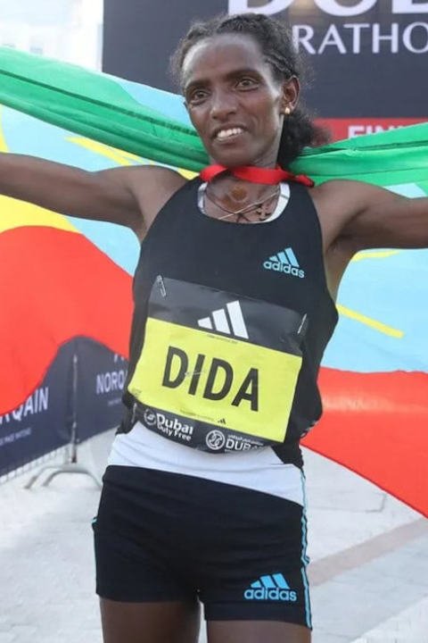 Dida image