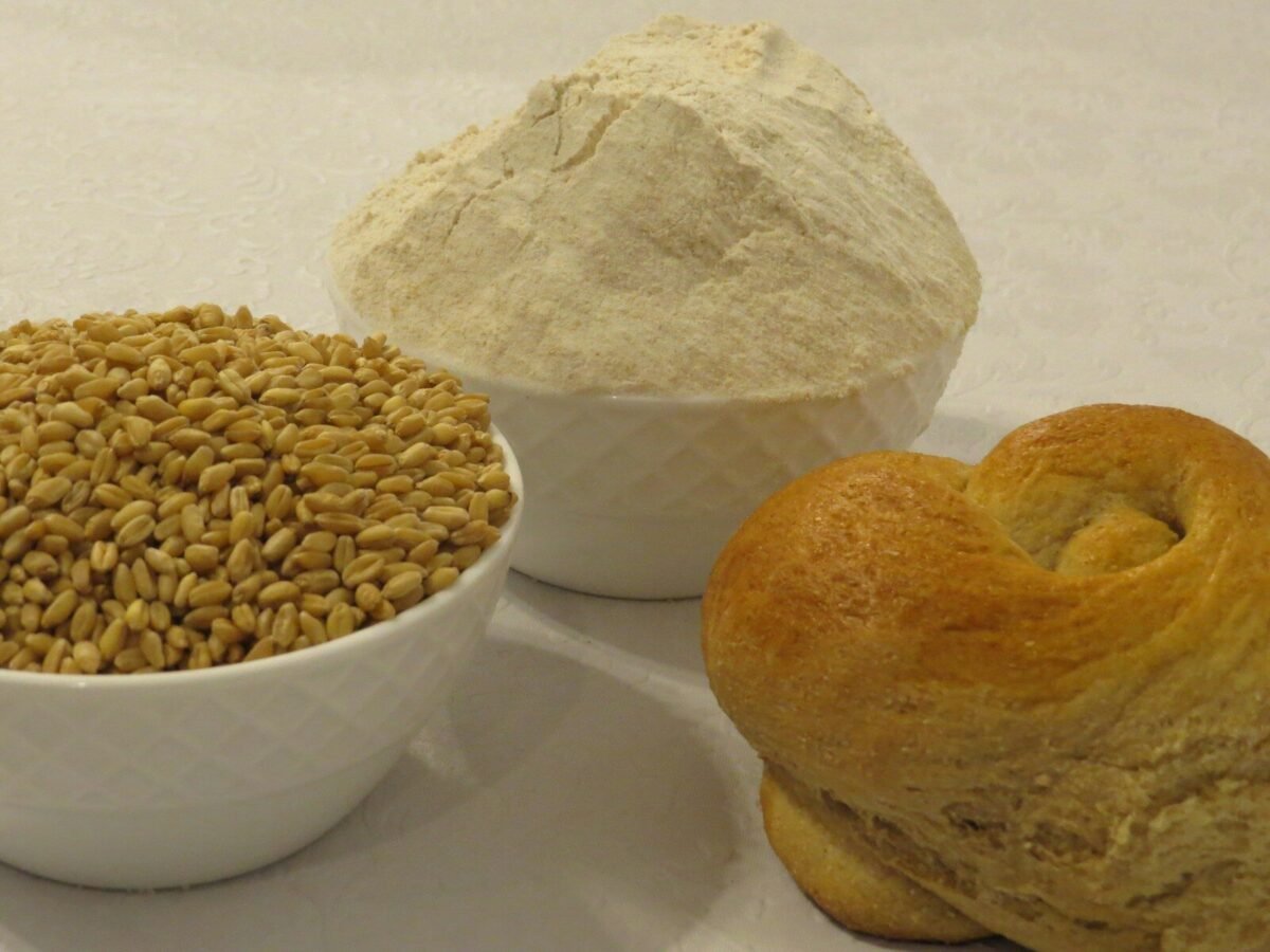 Carbohydrates Explained for Runners: Why They’re Your Body’s Preferred Running Fuel